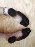 Frejas Submissive Feet Onlyfans pictures