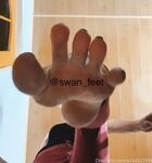 Swan Feet Onlyfans pictures